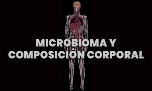 Microbioma y composición corporal